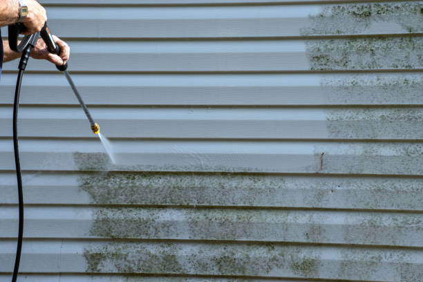 Best Same-Day Junk Removal Services  in Royal City, WA